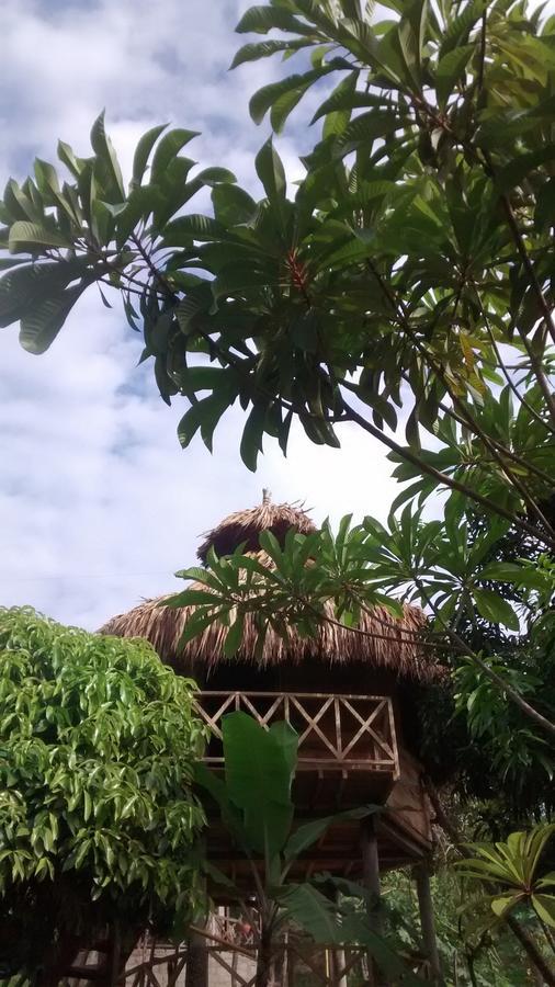 Posadas Ecoturisticas Seineken El Zaino Buitenkant foto